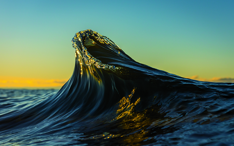 Feature: Catching Waves | May–June 2021 | Minnesota Conservation