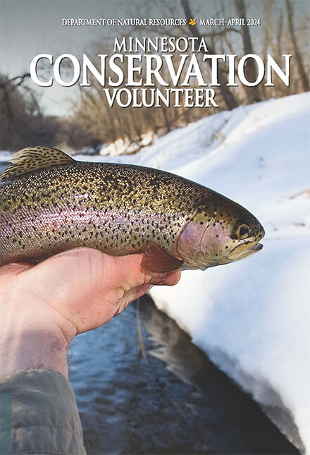 Minnesota Conservation Volunteer