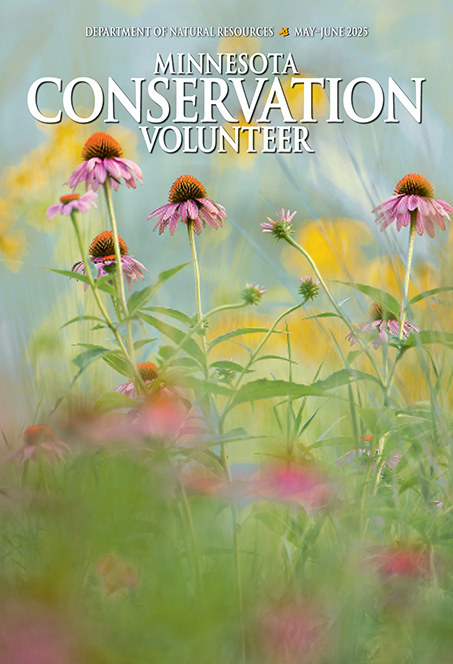 Minnesota Conservation Volunteer