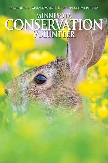 Minnesota Conservation Volunteer