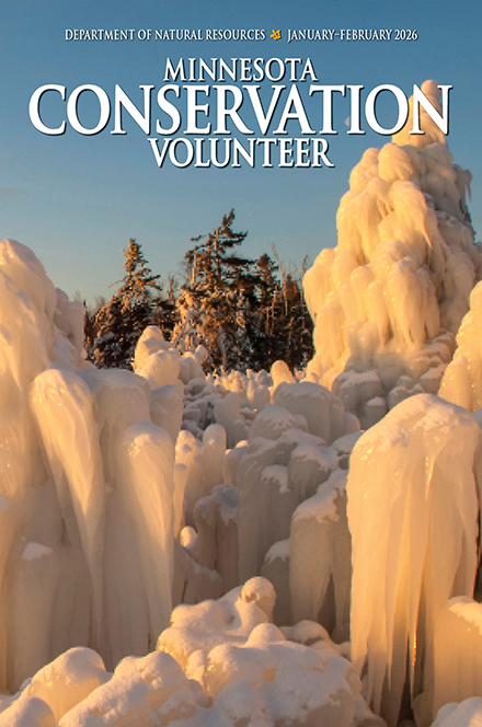 Minnesota Conservation Volunteer
