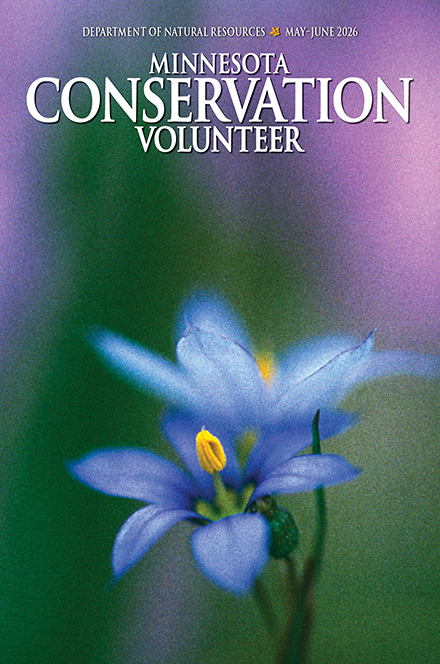 Minnesota Conservation Volunteer