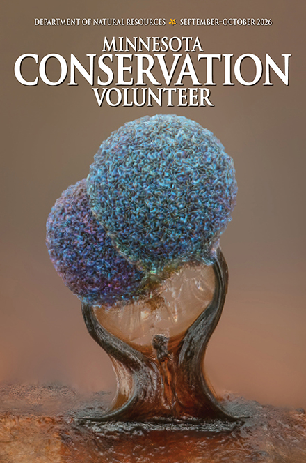 Minnesota Conservation Volunteer
