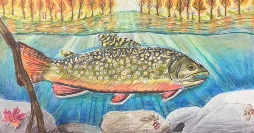fish art contest