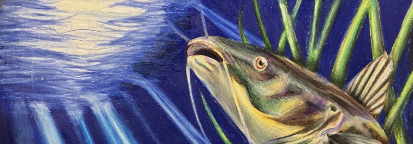 fish art contest, a bullhead catfish