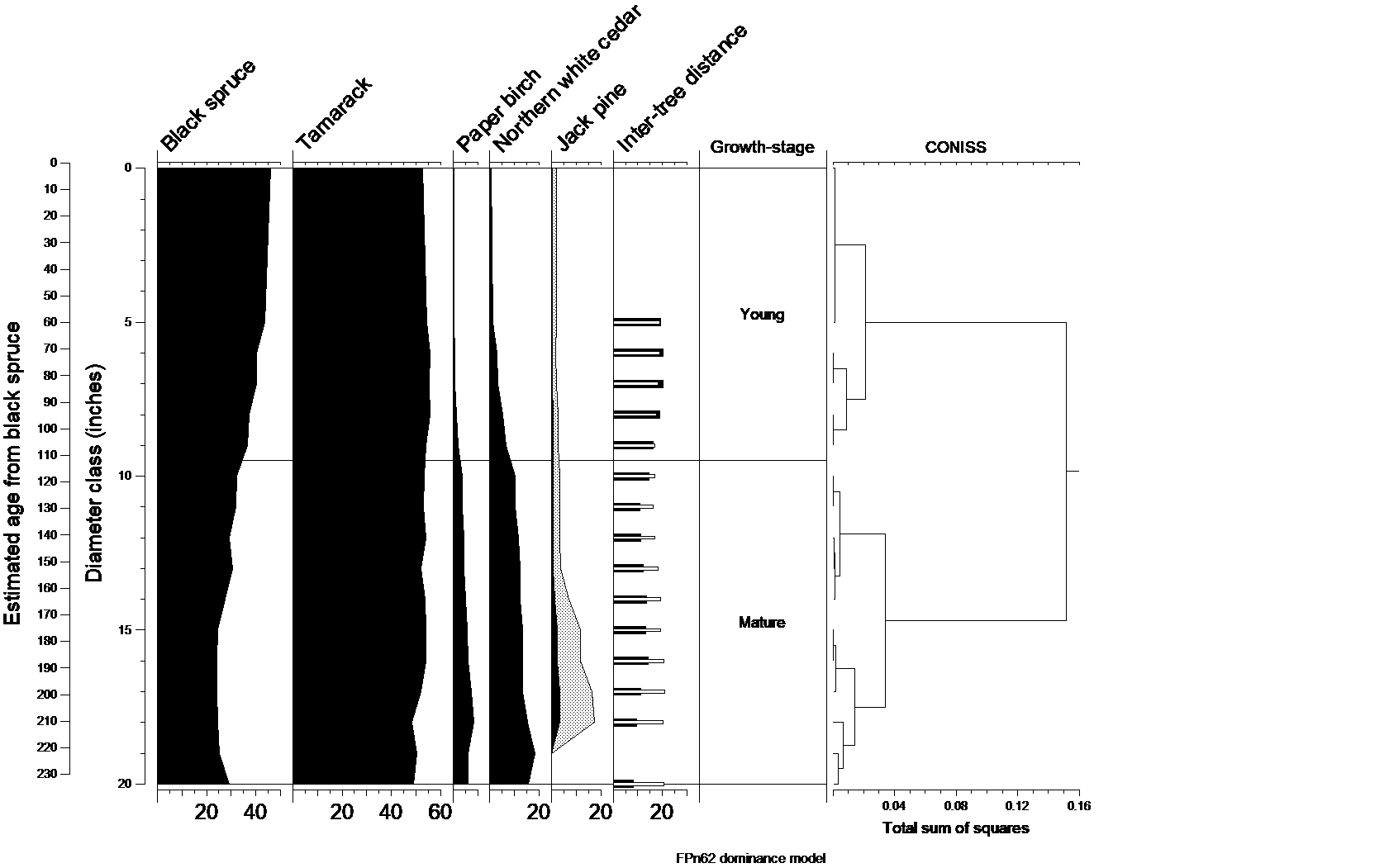 Natural dynamics model for FPn62