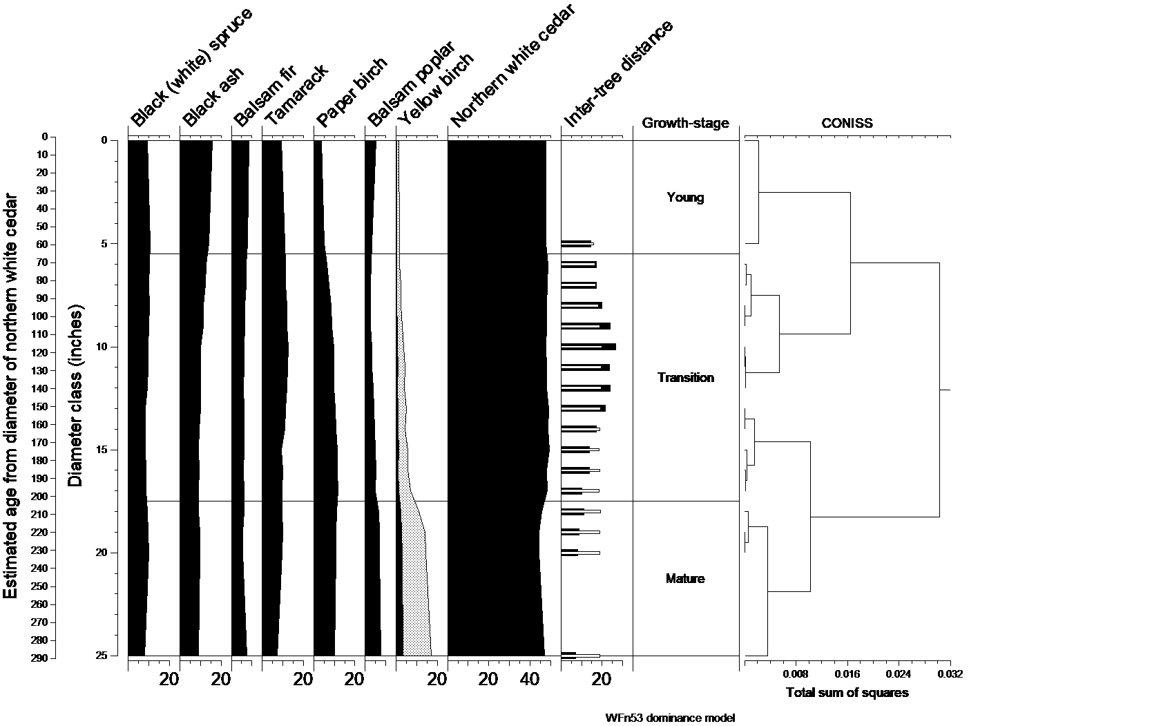 Natural dynamics model for WFn53