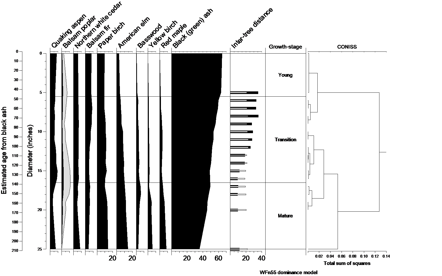 Natural dynamics model for WFn55