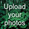 Upload your photos