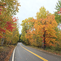 Fall colors