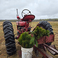 A large red tractor carrying tree seedlings is parked in an open field.