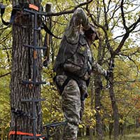 Bow hunter in a tree stand
