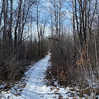 Snow covered trail in a Minnesota State Park
