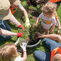 Planting a tree A community of children and adults plant a tree