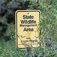 Wildlife management area activities Wildlife management area activities.