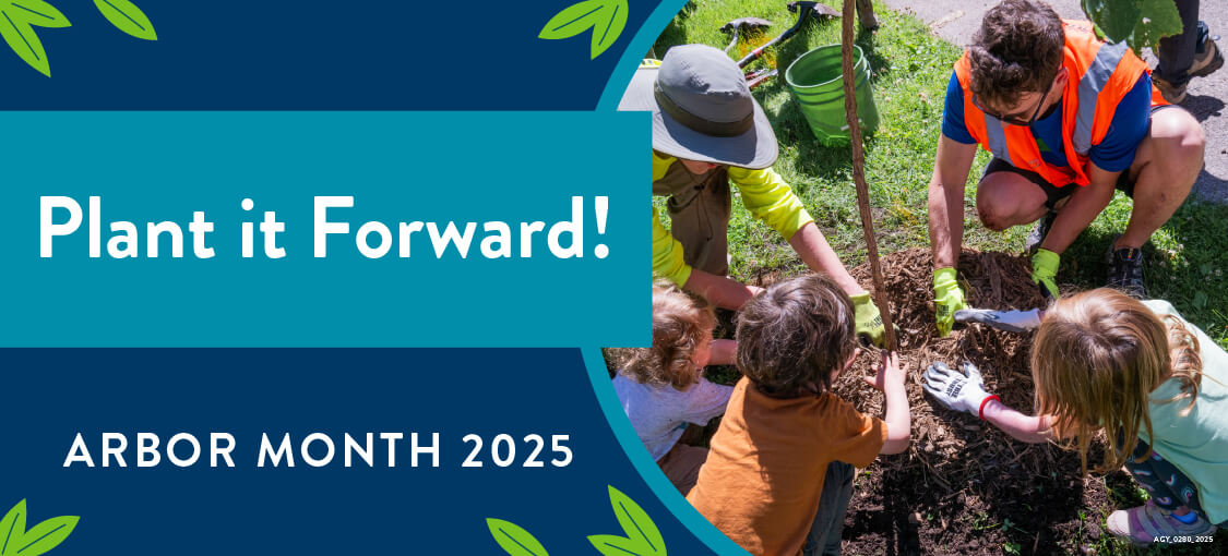 Children planting a tree together