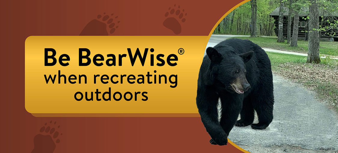 A bear crossing a road in the woods near a cabin.