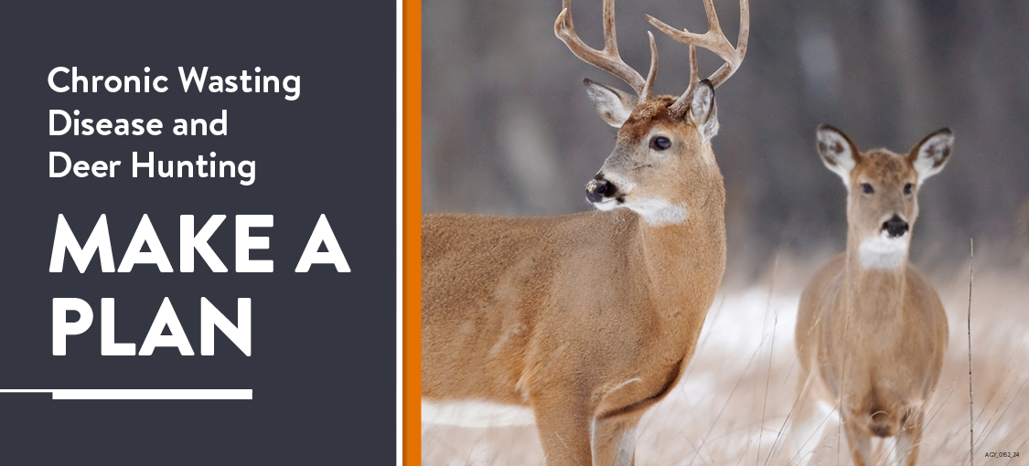 Chronic wasting disease and deer hunting