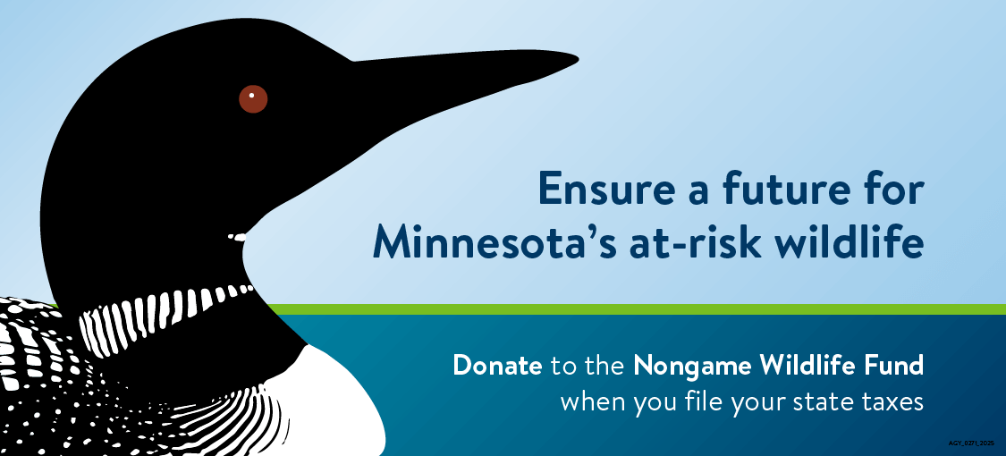 Ensure a future for Minnesota's at-risk wildlife. Donate to the Nongame Wildlife Fund when you file your state taxes.