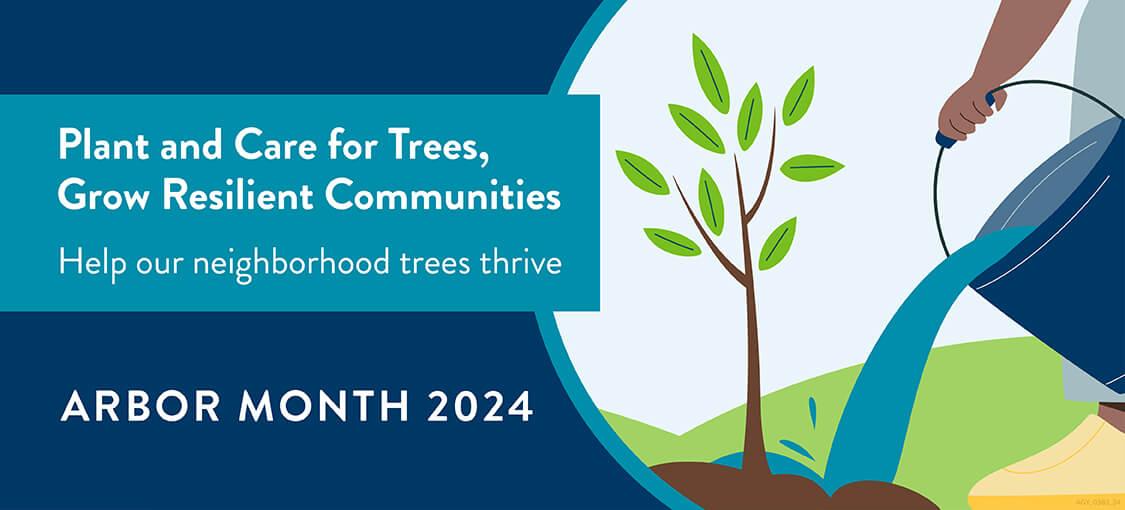 Arbor Month 2024 Plant and care for trees