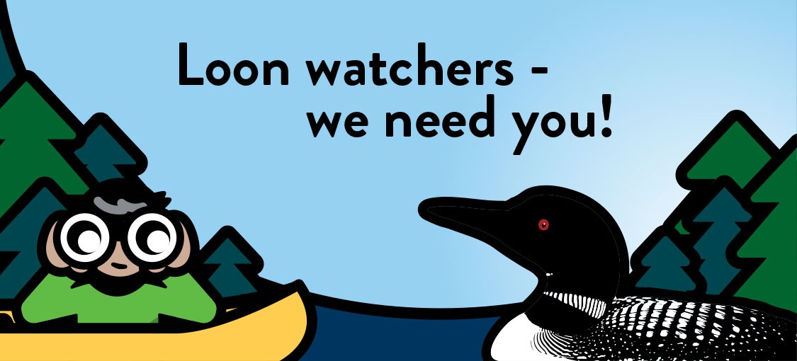 Loon watchers- we need your help.