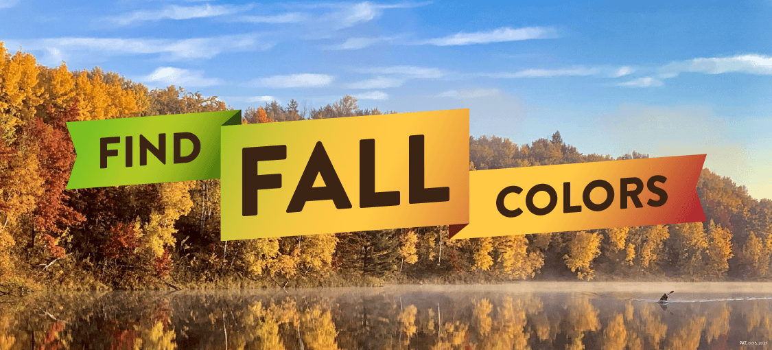 Find Fall Colors banner with trees with yellow leaves surrounding a placid lake.