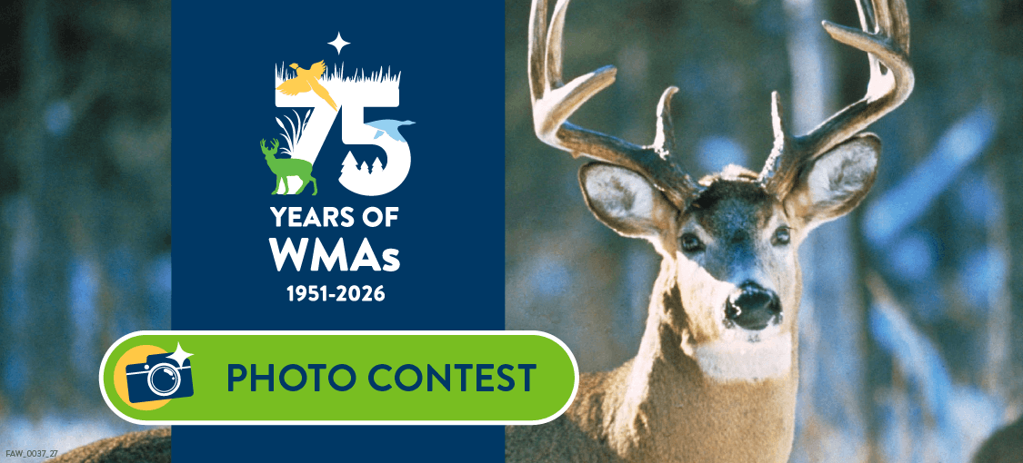 WMA 75th anniversary photo contest WMA 75th anniversary photo contest